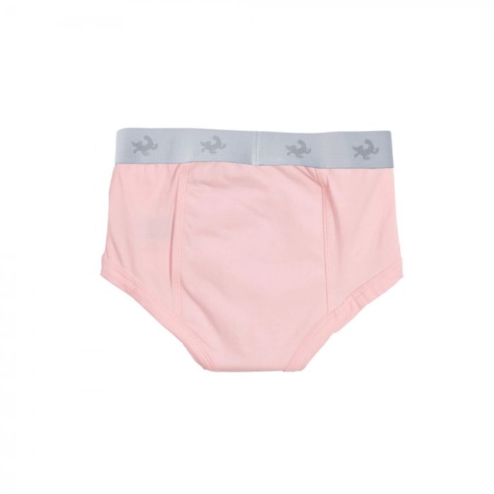 Pink underwear with gray waistband on a white background